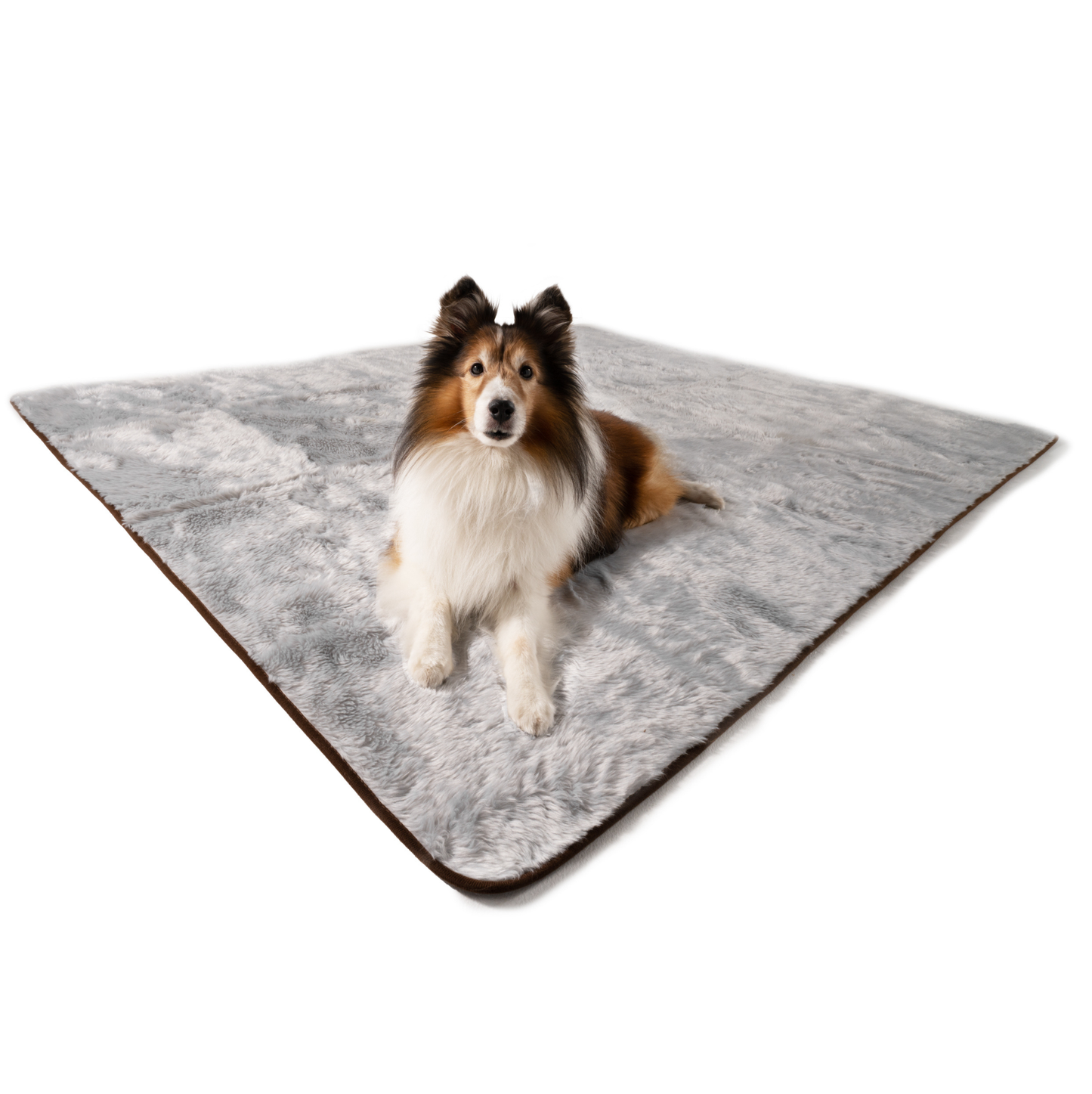 Waterproof summer blanket for dogs - Grey