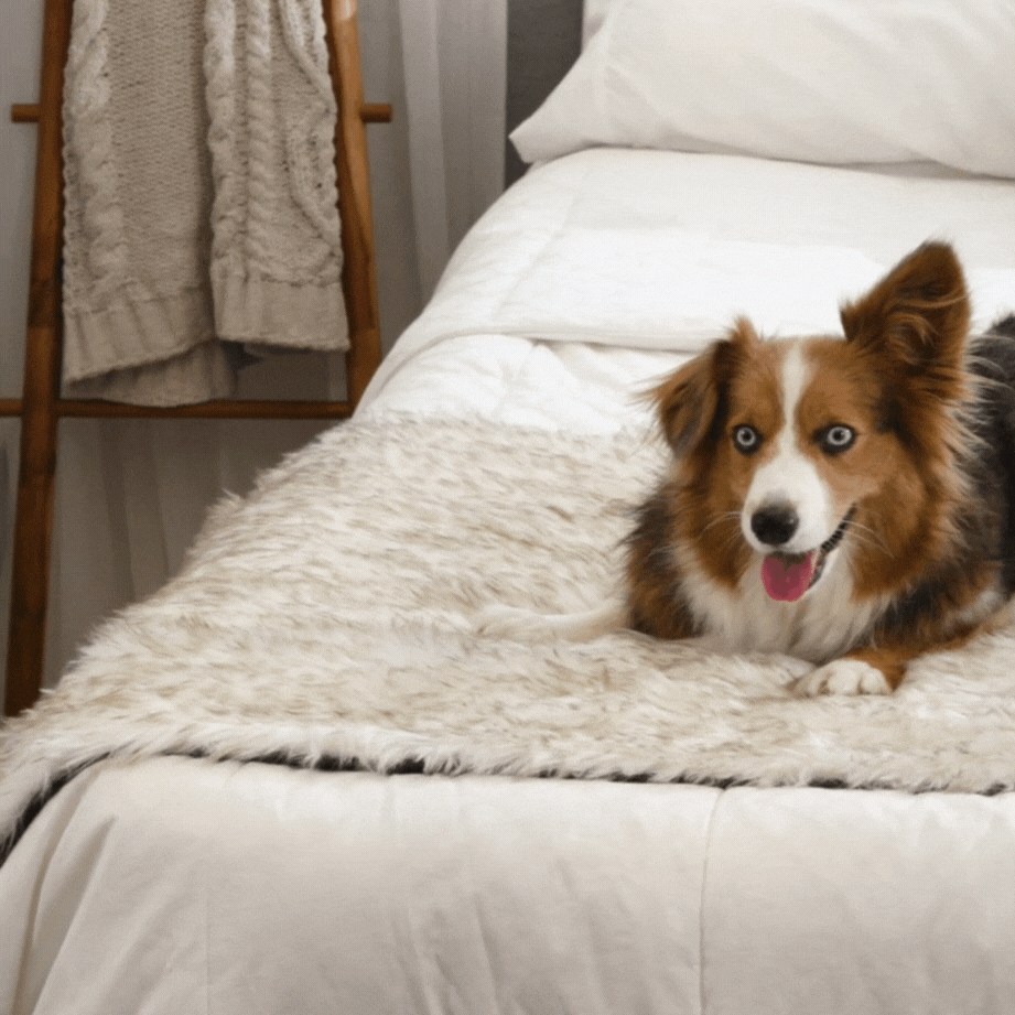 Waterproof Pet Bed Runner - White with Brown Accents