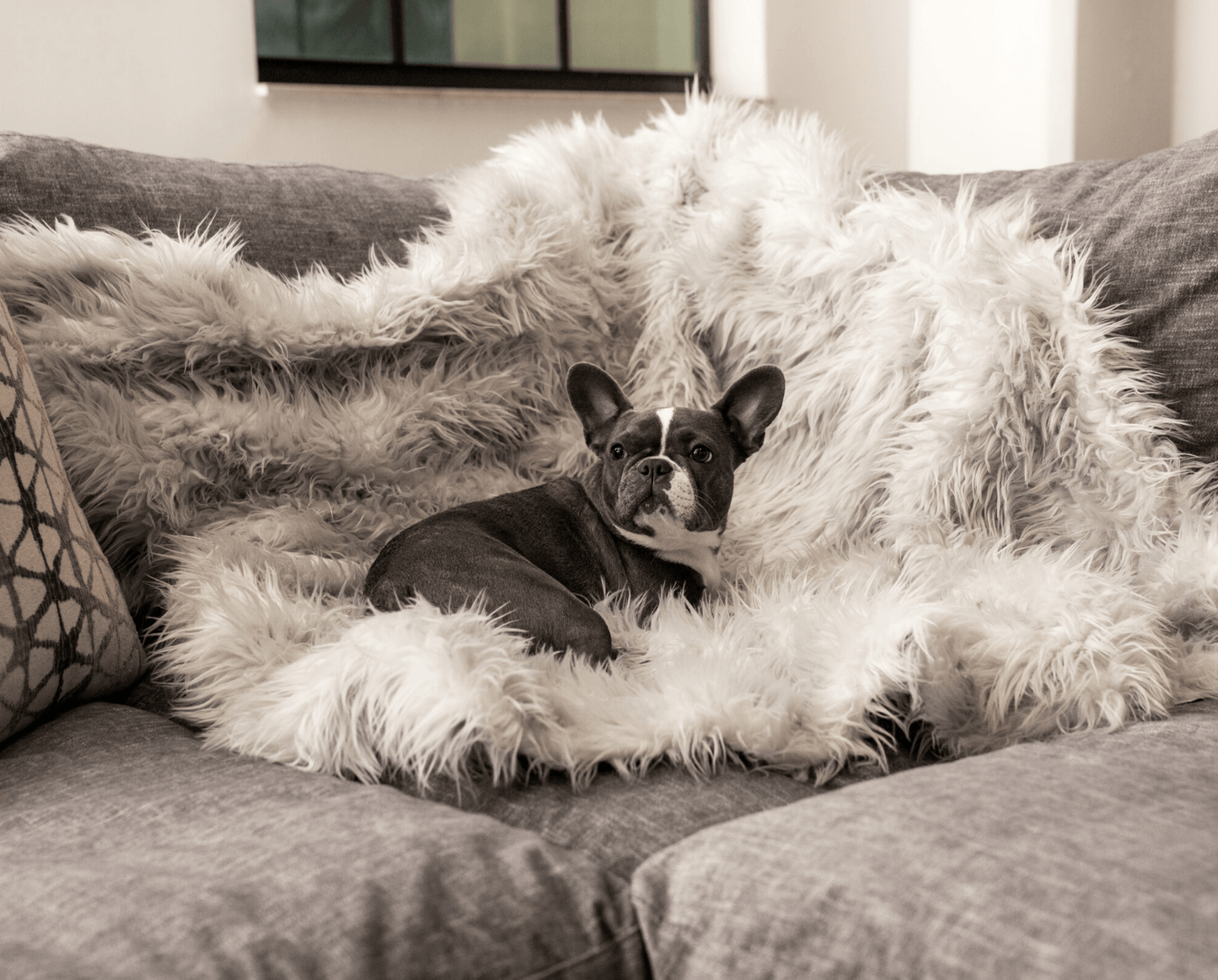 Orthopedic Dog Bed with Waterproof Blanket - Rectangular Grey