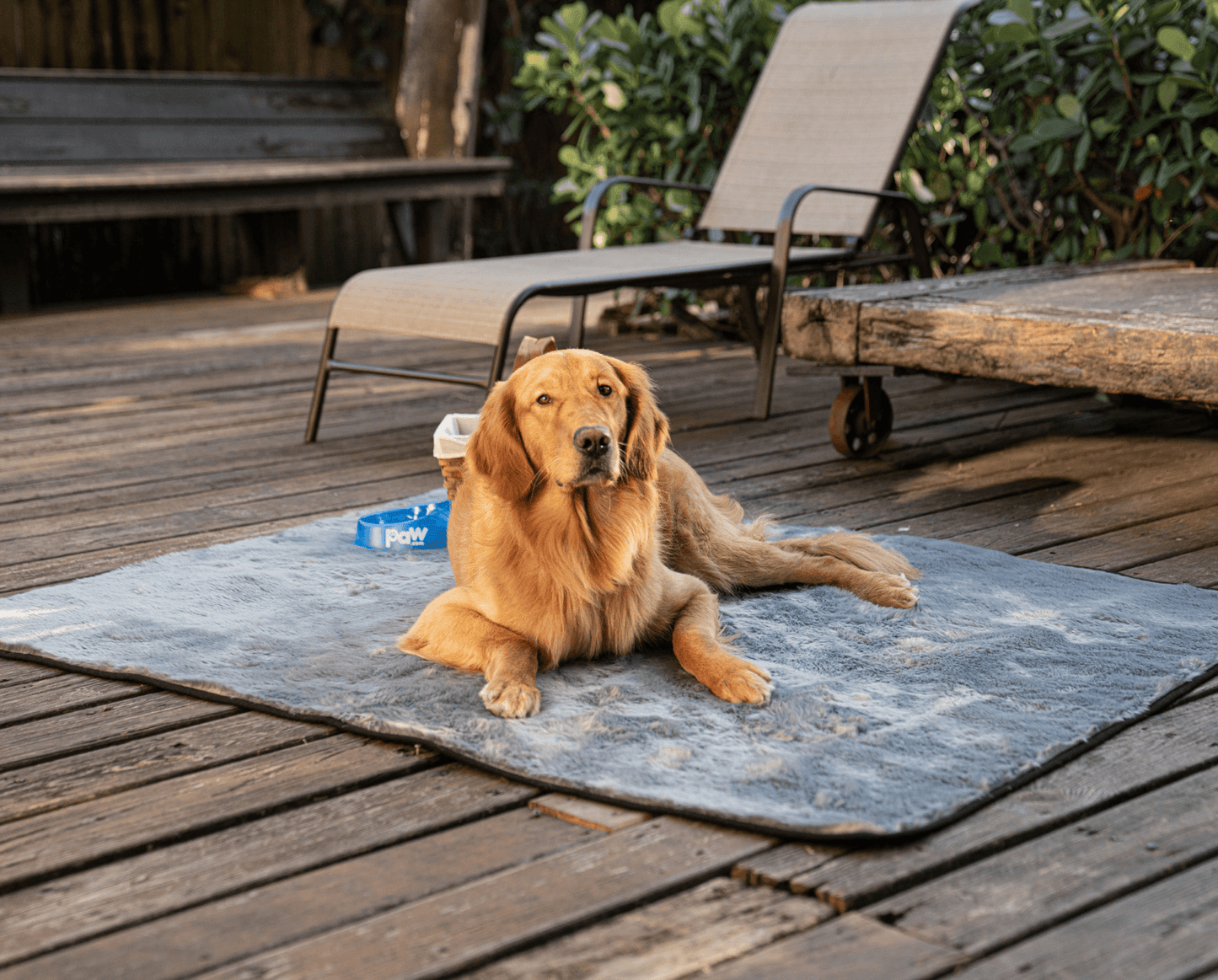 Waterproof Pet Blanket for Dogs - Shorthair, Charcoal Grey