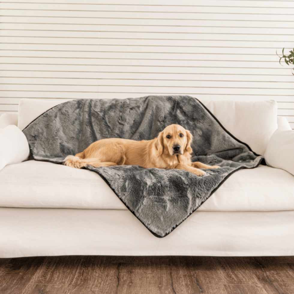 Waterproof Pet Blanket for Dogs - Shorthair, Charcoal Grey