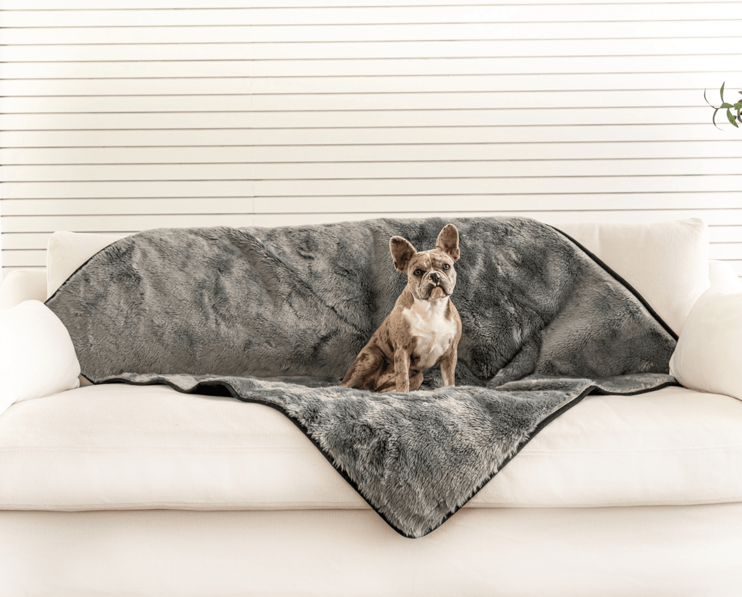 Waterproof Pet Blanket for Dogs - Shorthair, Charcoal Grey