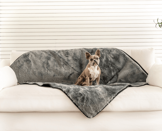 Waterproof Pet Blanket for Dogs - Shorthair, Charcoal Grey