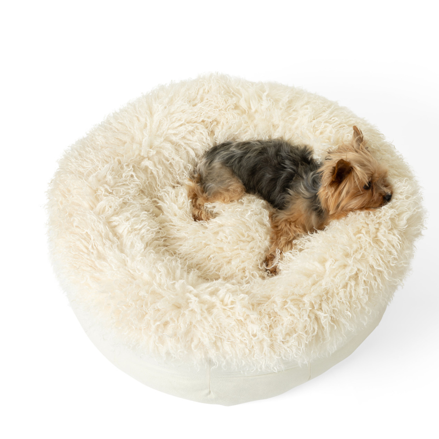 Ivory Plush Donut Dog Bed
