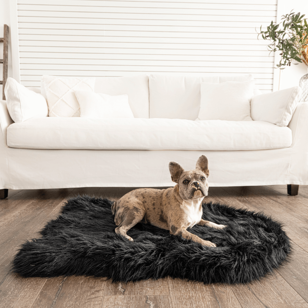 Orthopedic Faux Fur Dog Bed - Midnight Black
