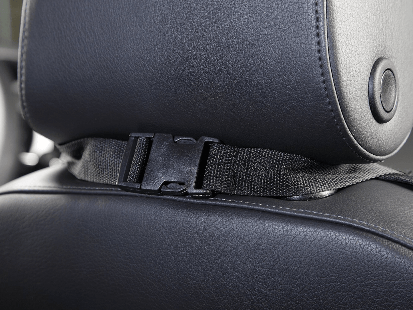 Front seat cover for dogs in the car