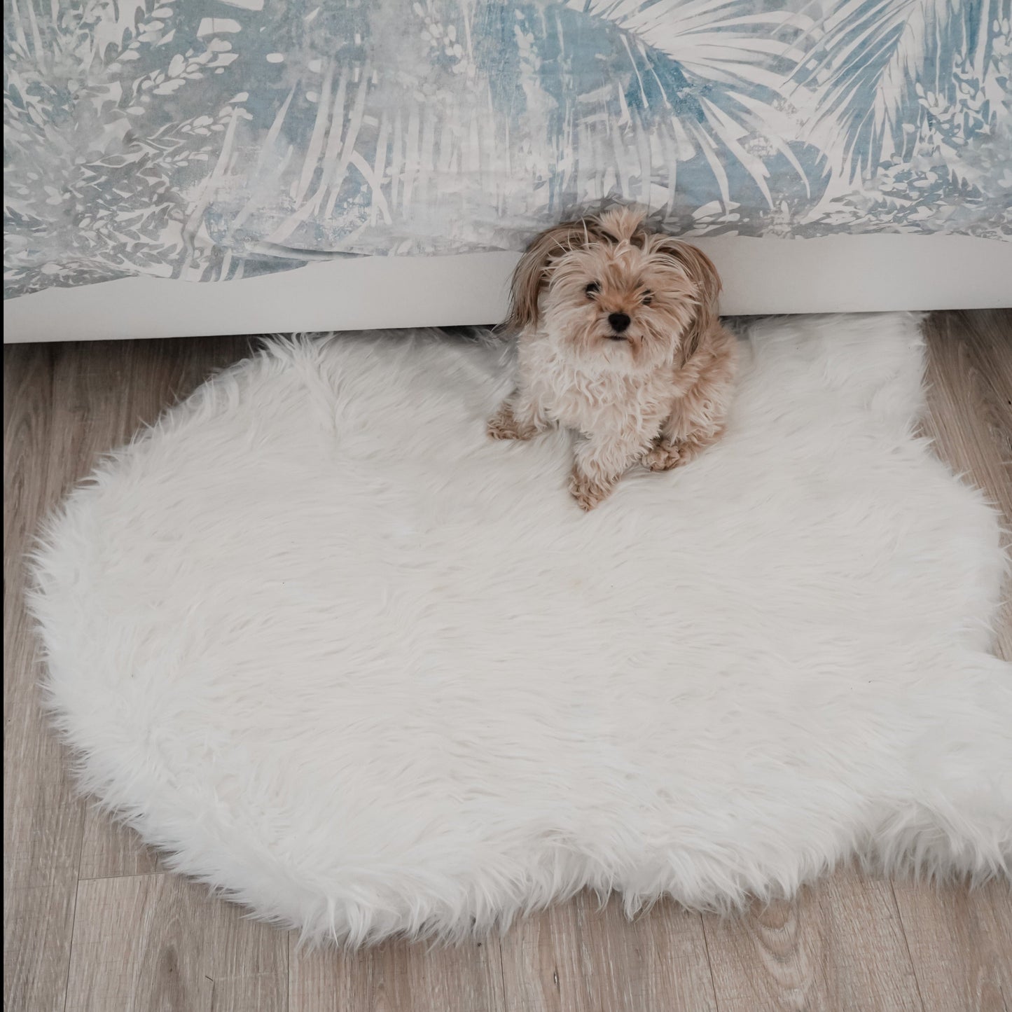 Orthopedic Faux Fur Dog Bed - Polar White