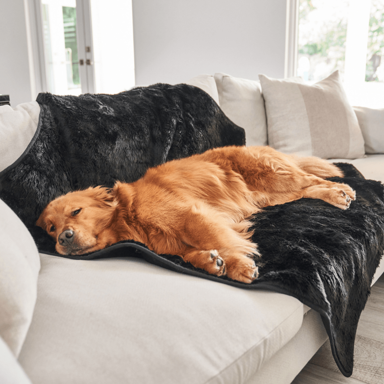Waterproof summer blanket for dogs - Black
