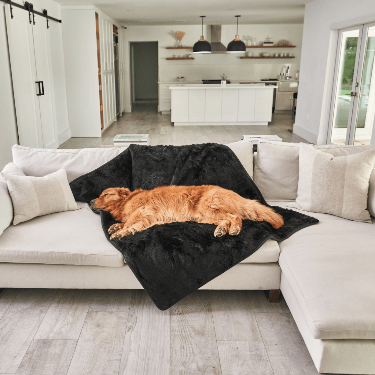 Waterproof Dog Blanket - Short Fur, Midnight Black