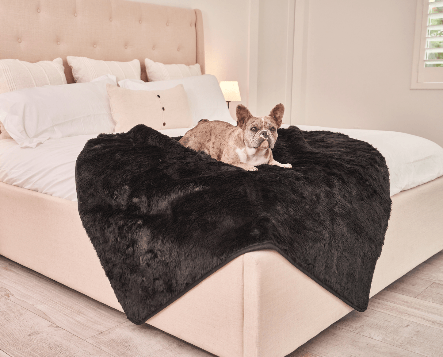 Waterproof Dog Blanket - Short Fur, Midnight Black