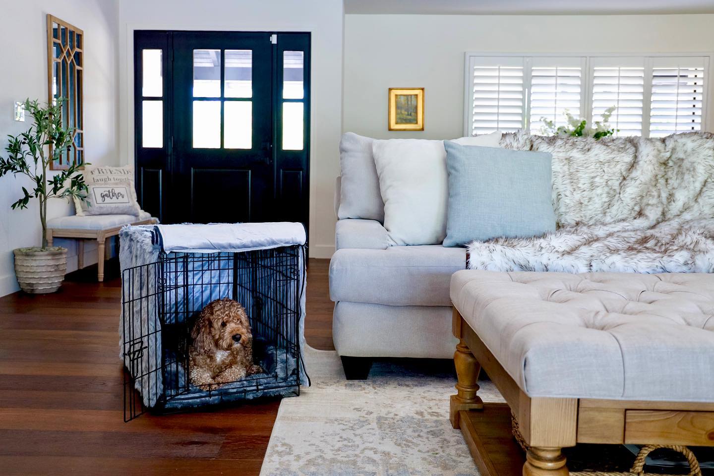 Crate Upgrade Set - Anthracite for Dogs