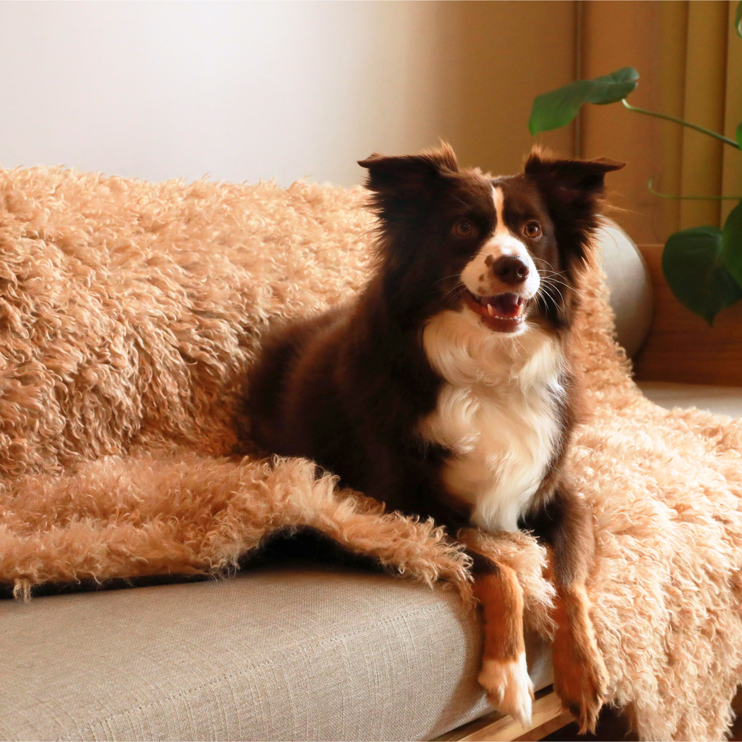 Luxe Waterproof Faux Fur Blanket - Plush Sheep Tan by PupProtector™