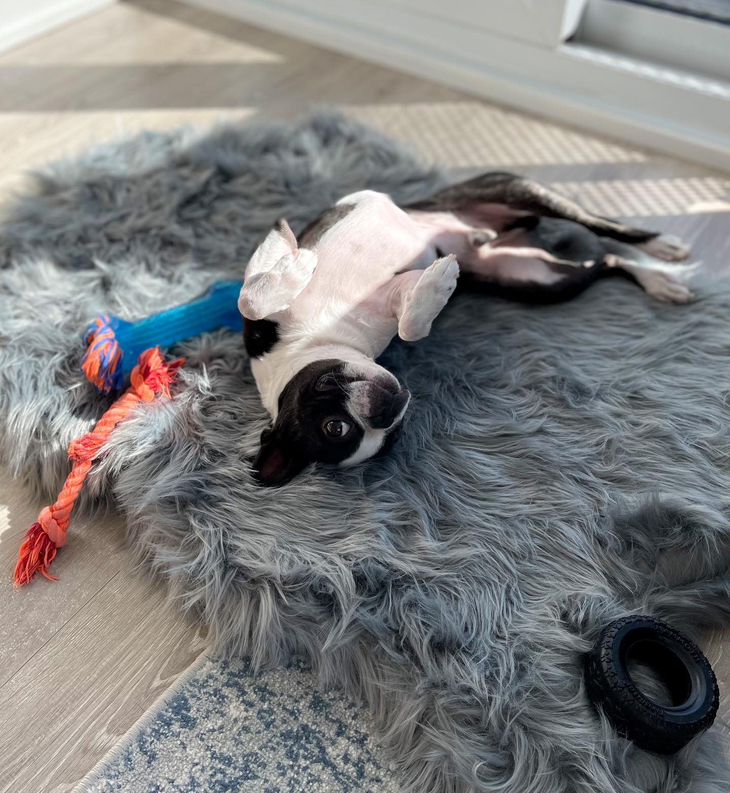 Orthopedic dog bed made of faux fur - anthracite grey