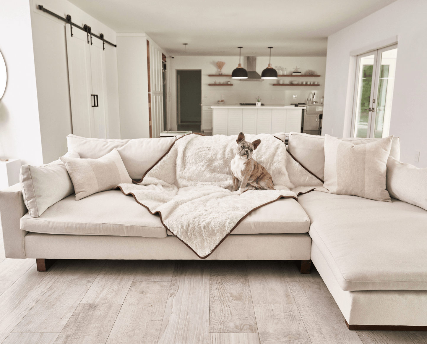 Waterproof blanket for dogs - short pile, white