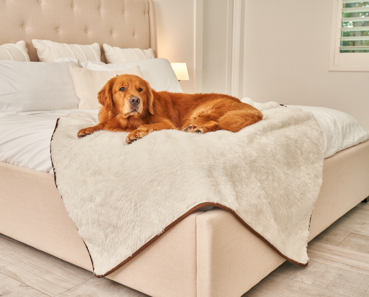 Waterproof blanket for dogs - short pile, white