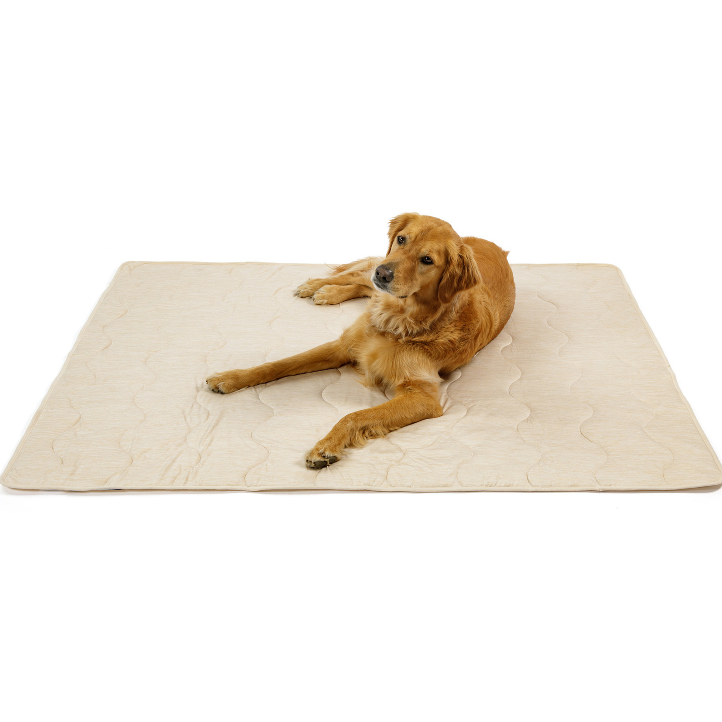 PupChill™ Arctic Sand Cooling Waterproof Blanket