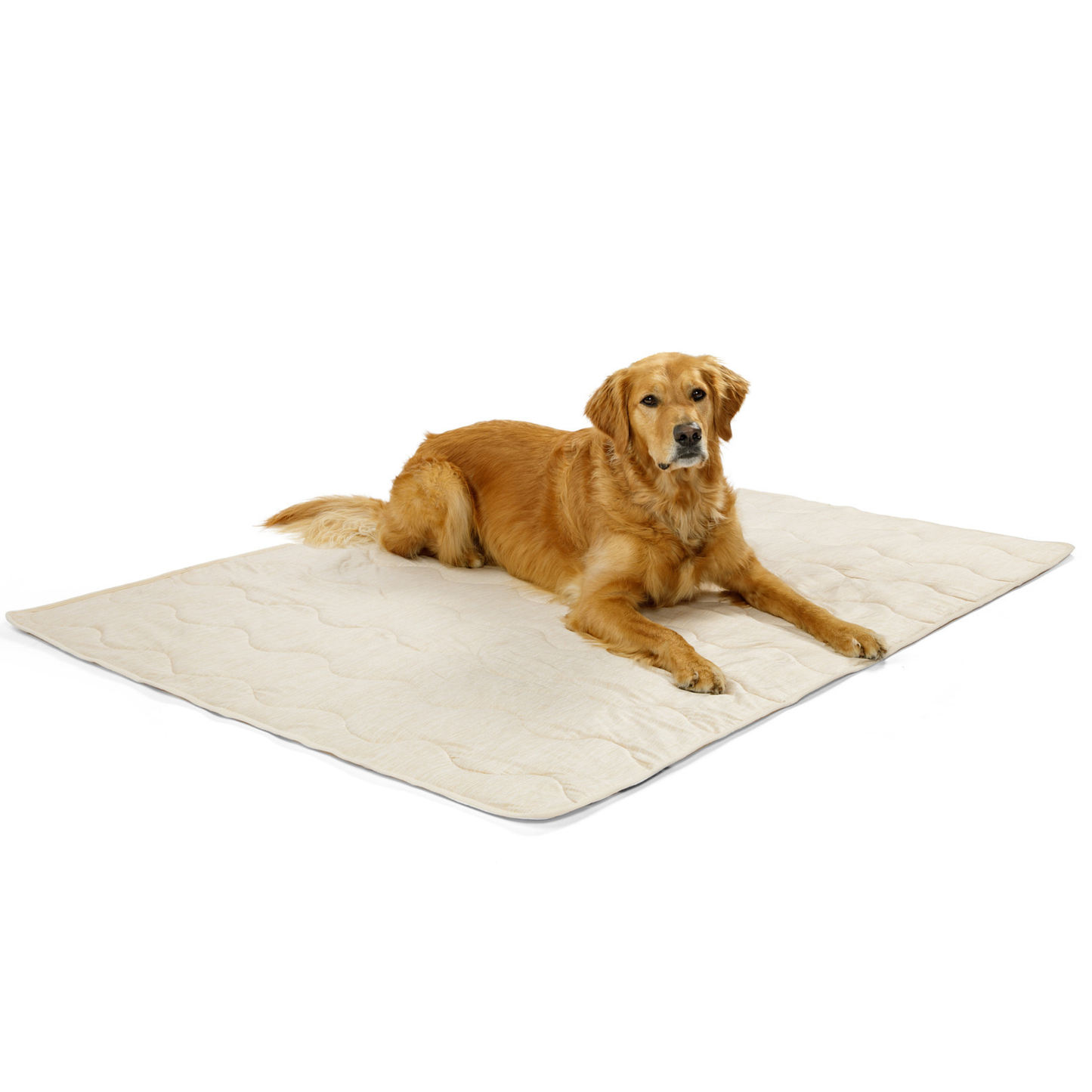 Cooling Waterproof Dog Blanket - Arctic Sand