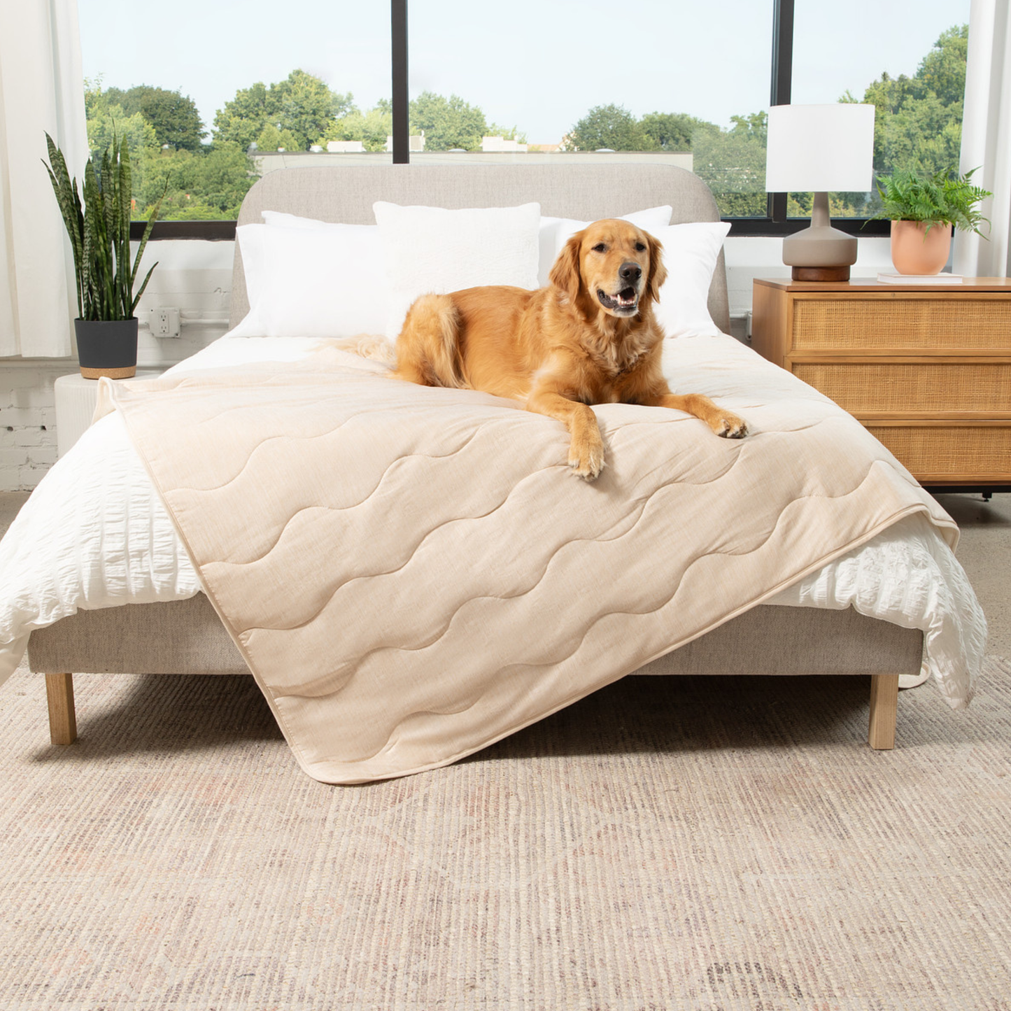 PupChill™ Arctic Sand Cooling Waterproof Blanket