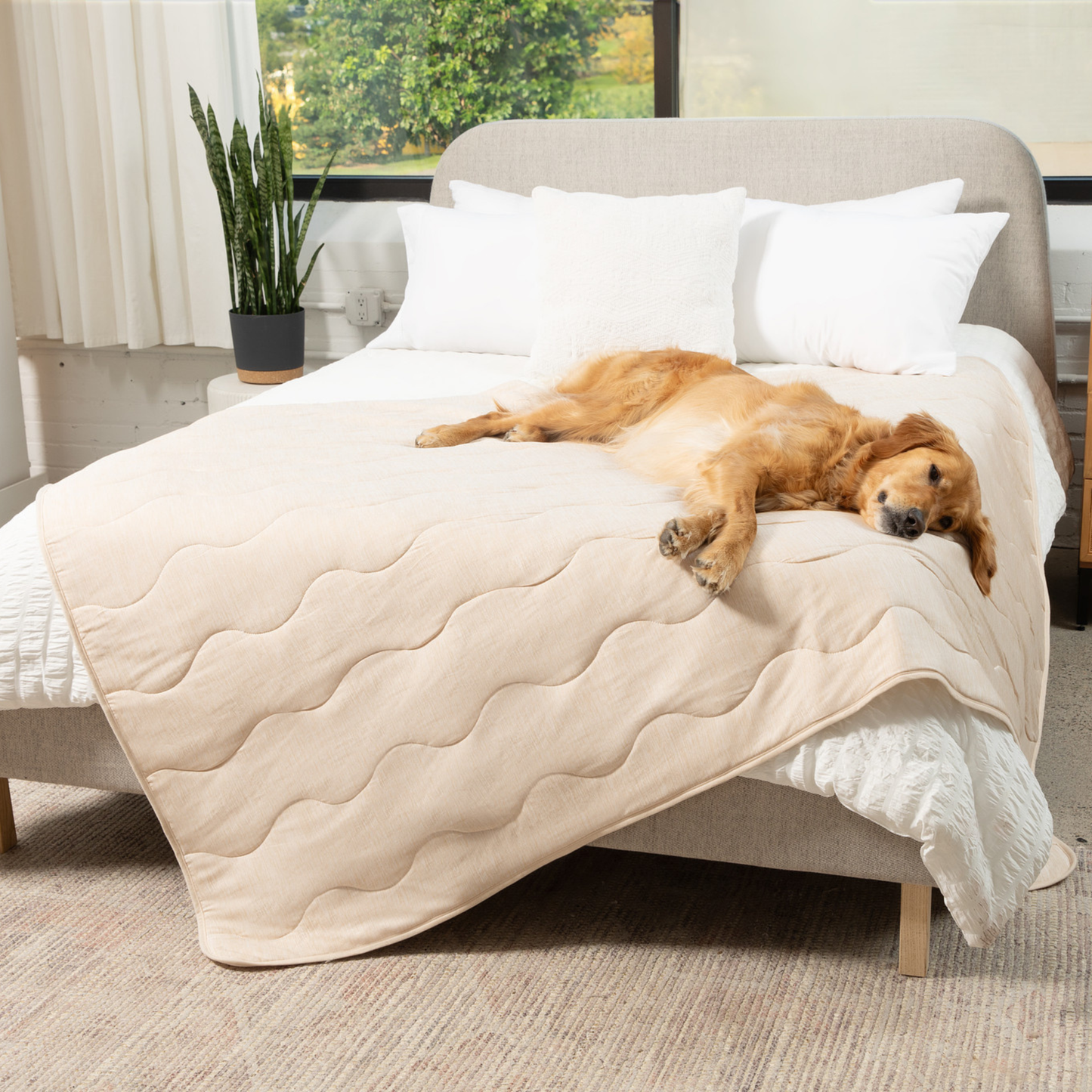 PupChill™ Arctic Sand Cooling Waterproof Blanket