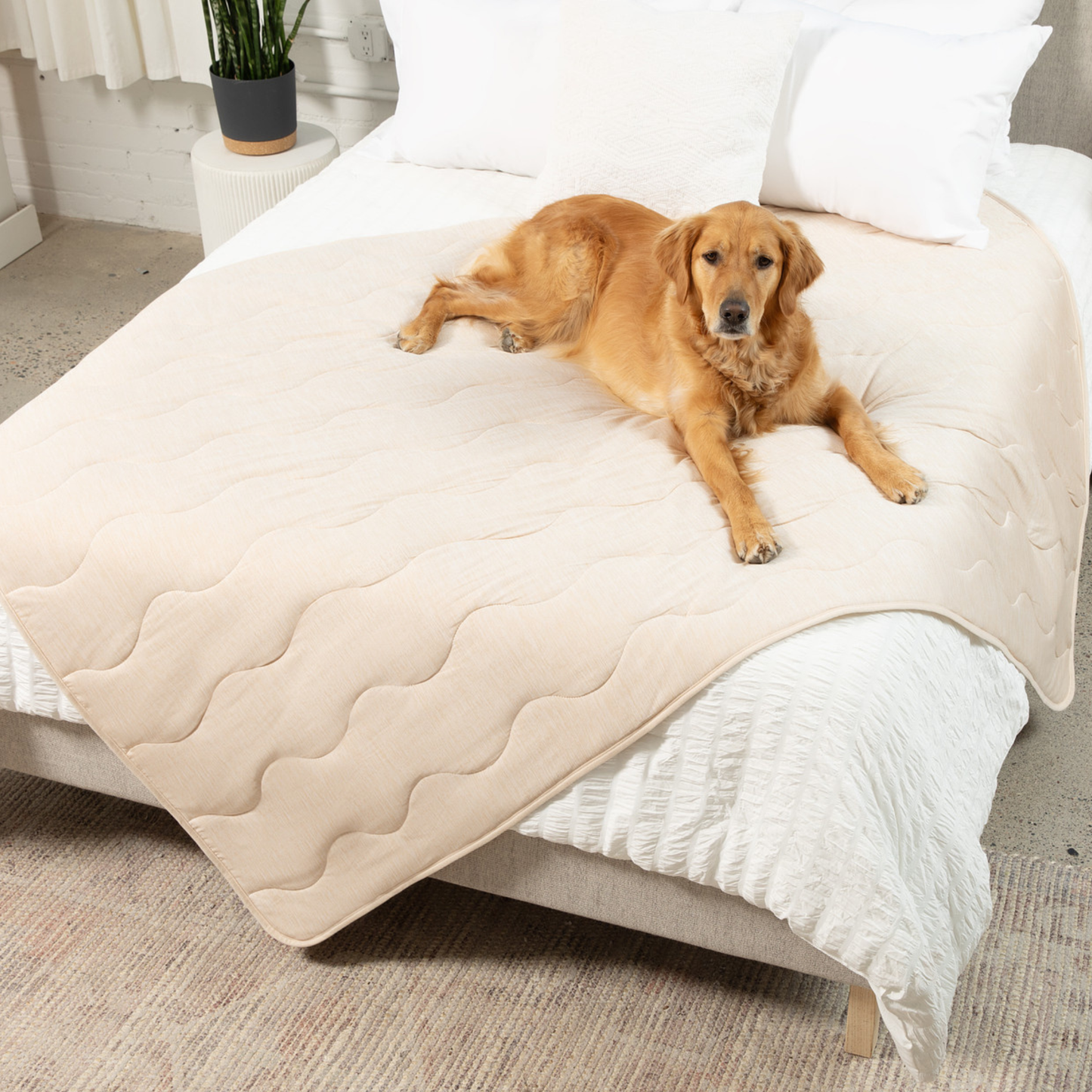 Cooling Waterproof Dog Blanket - Arctic Sand