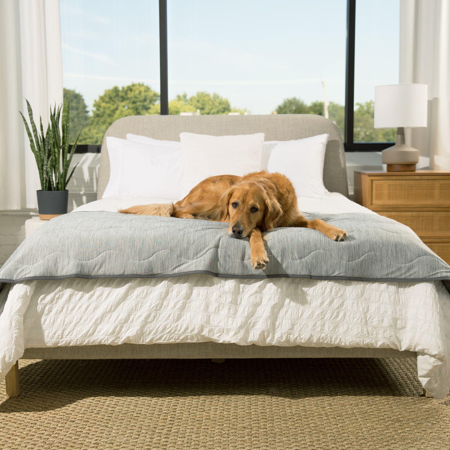 Cooling Waterproof Dog Blanket - Arctic Grey