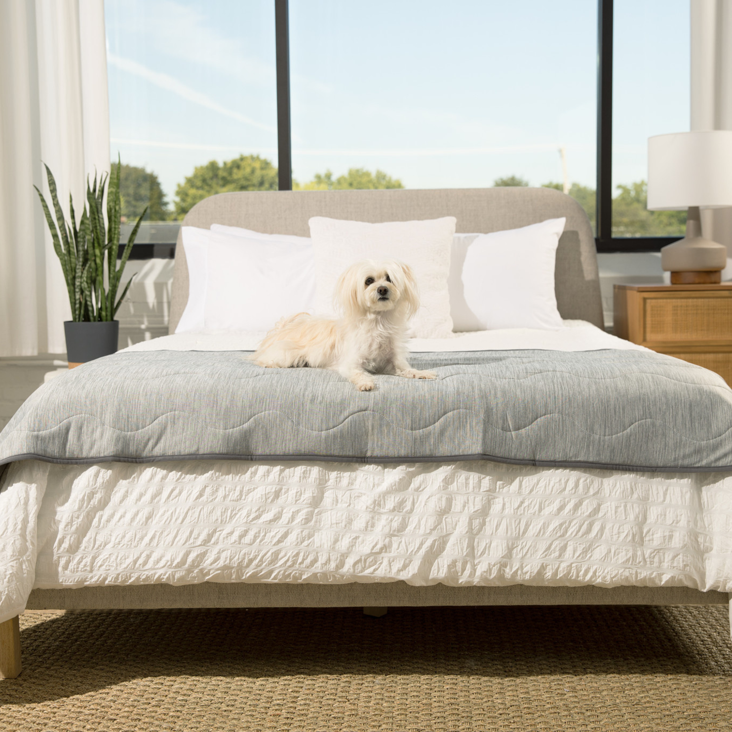 Cooling Waterproof Dog Blanket - Arctic Grey