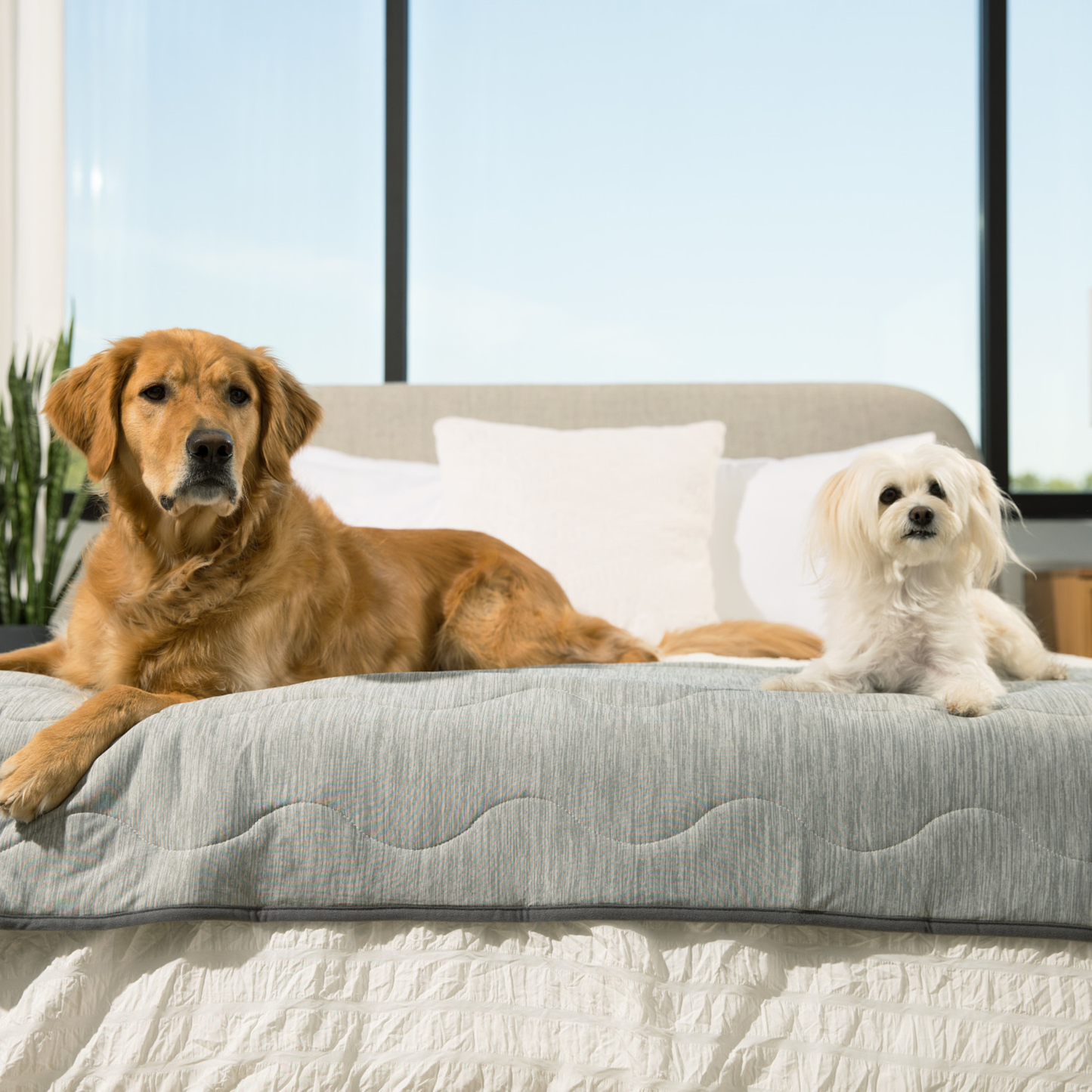 Cooling Waterproof Dog Blanket - Arctic Grey