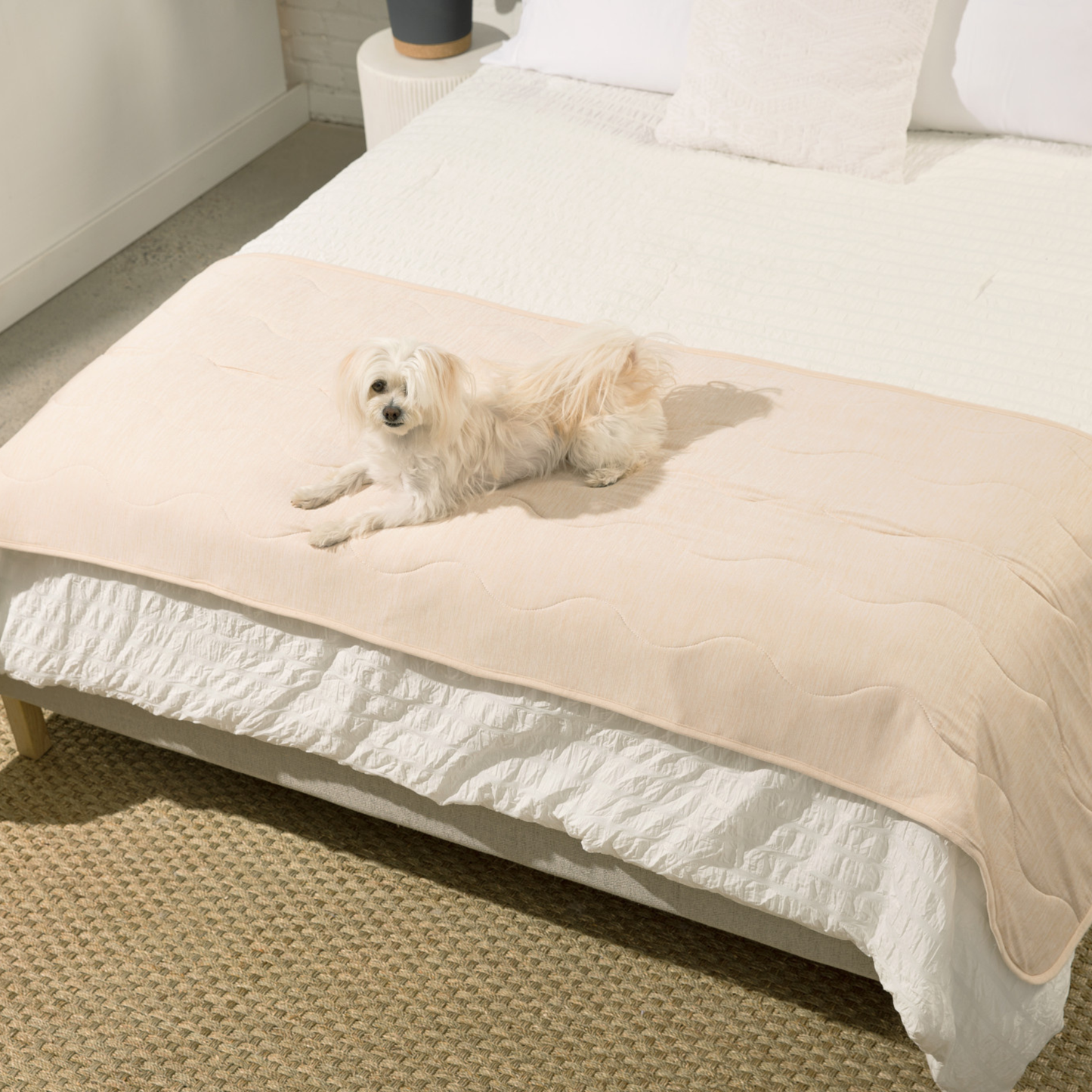 Cooling Dog Blanket - Arctic Sand