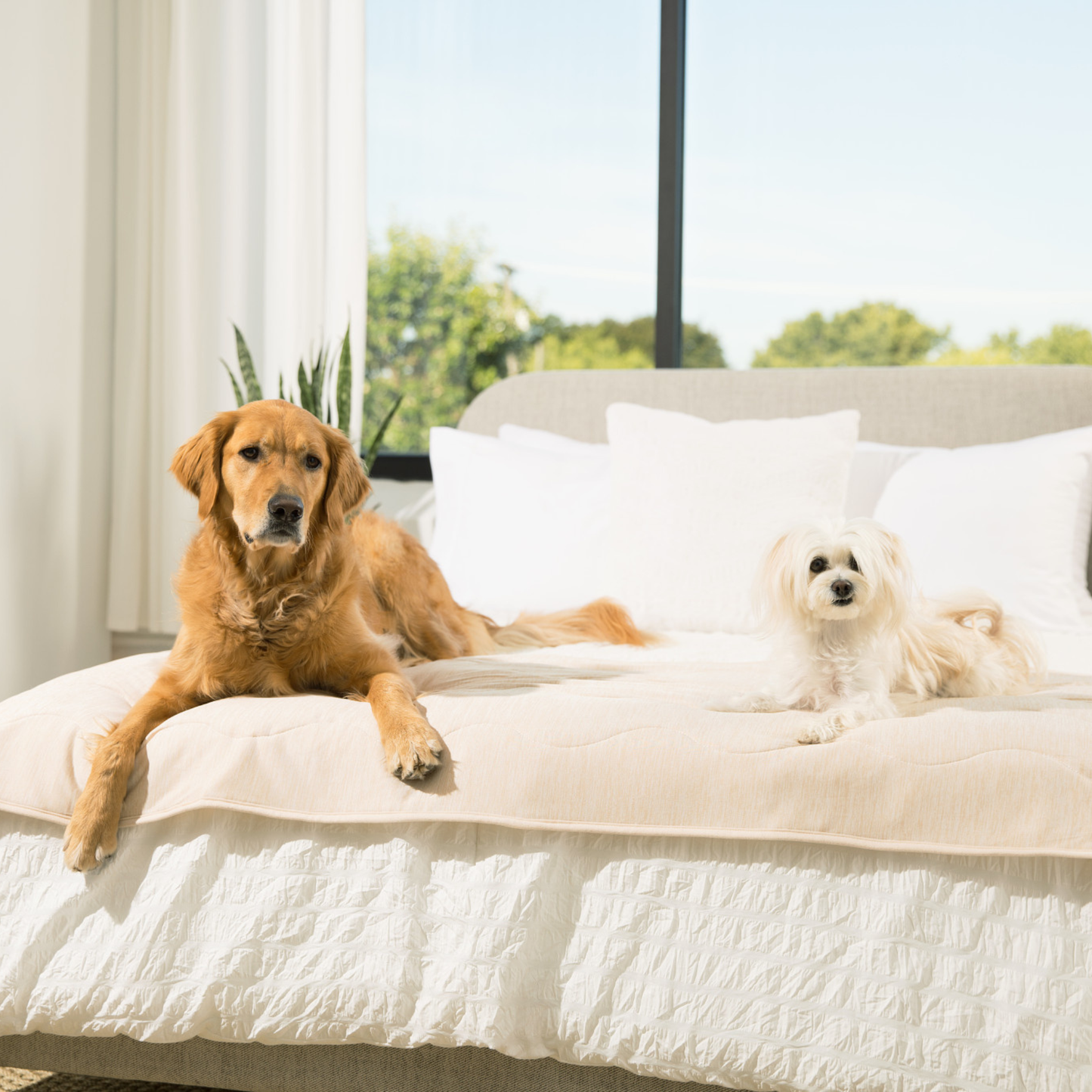 Cooling Dog Blanket - Arctic Sand