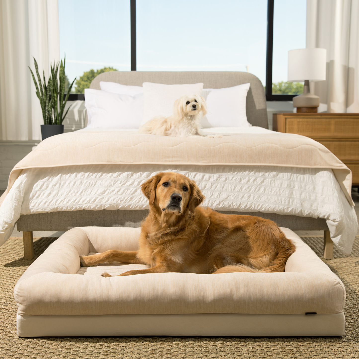 Cooling Dog Blanket - Arctic Sand