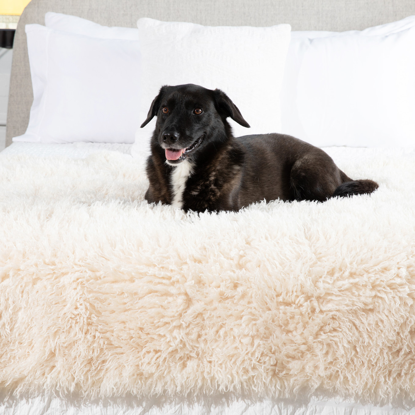 Waterproof Faux Fur Blanket for Dogs - Plush Sheep Ivory