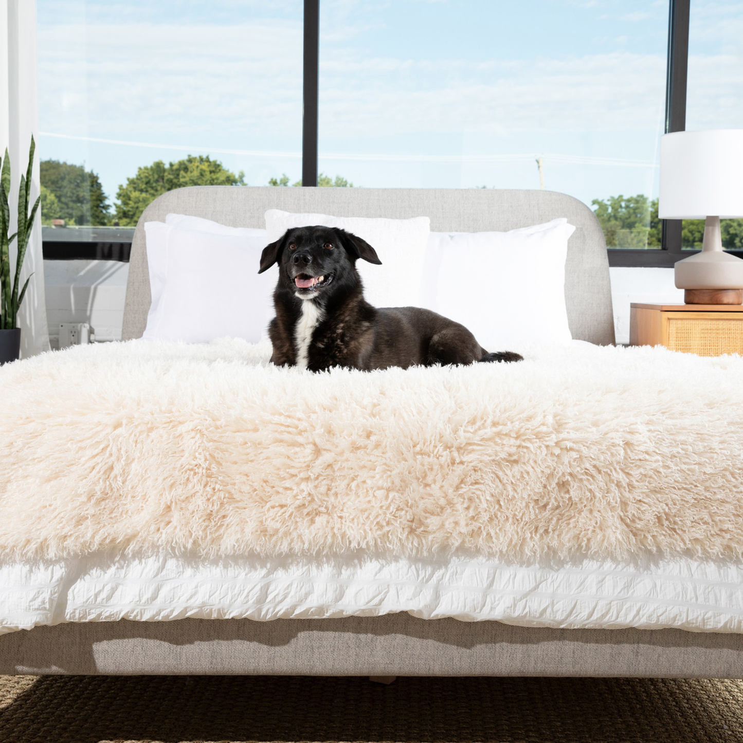 Waterproof Faux Fur Blanket for Dogs - Plush Sheep Ivory