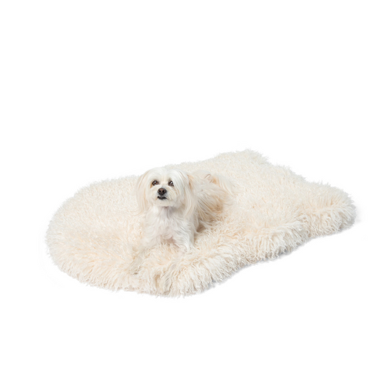 Orthopedic Dog Bed Cover - Plush Sheep Ivory (Bed Not Included)