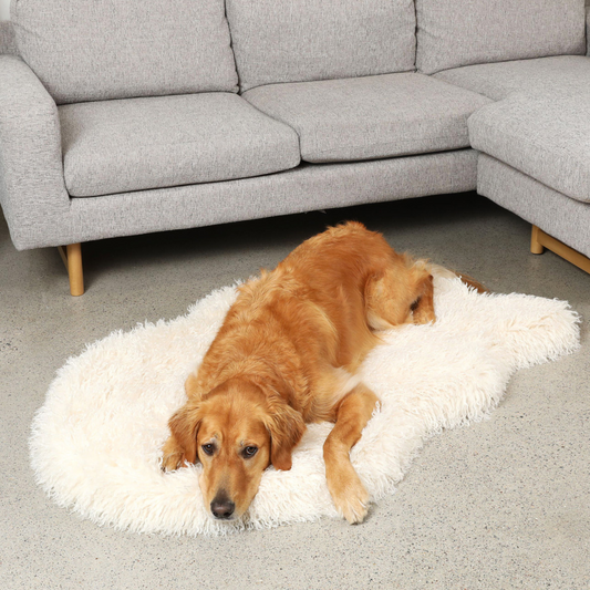 Orthopedic dog bed made of faux fur - plush sheep ivory
