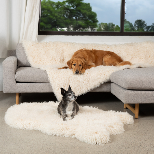 Orthopedic Dog Bed with Waterproof Blanket - Plush Sheep Ivory
