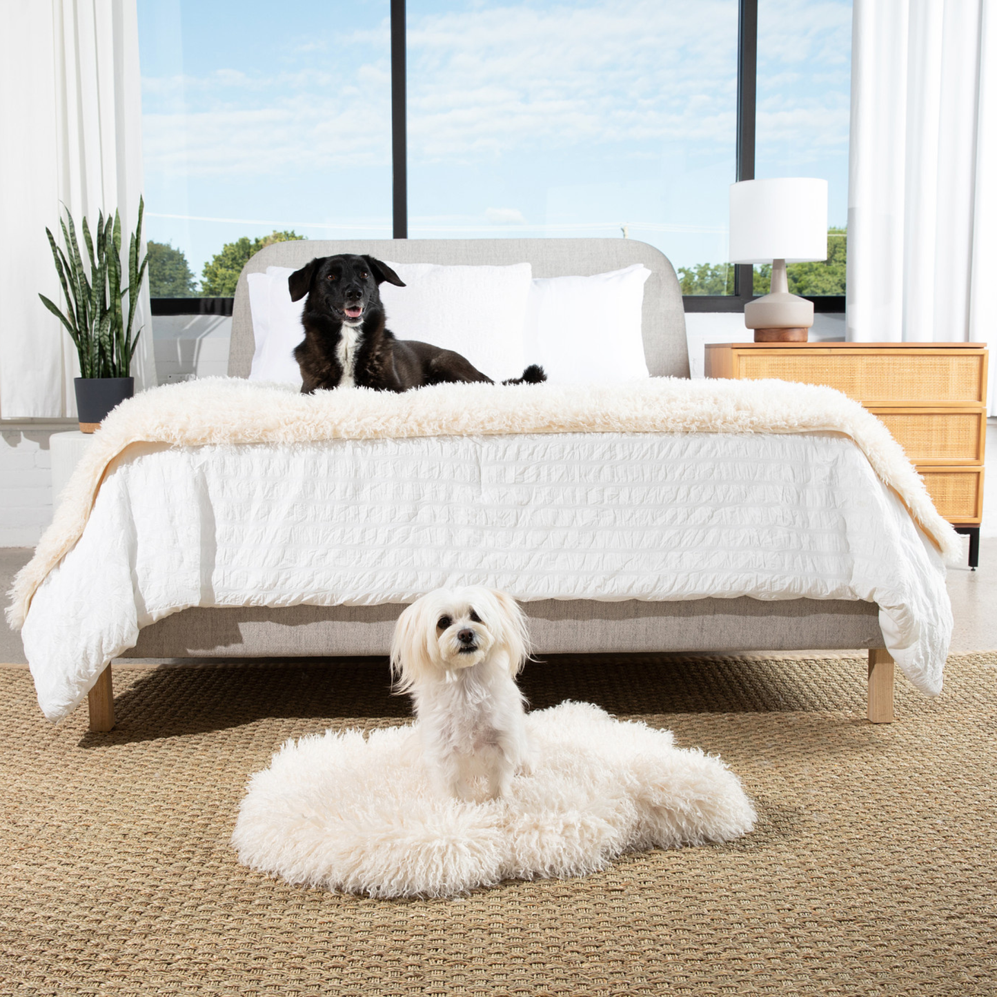 Orthopedic dog bed with matching runner - plush sheep ivory