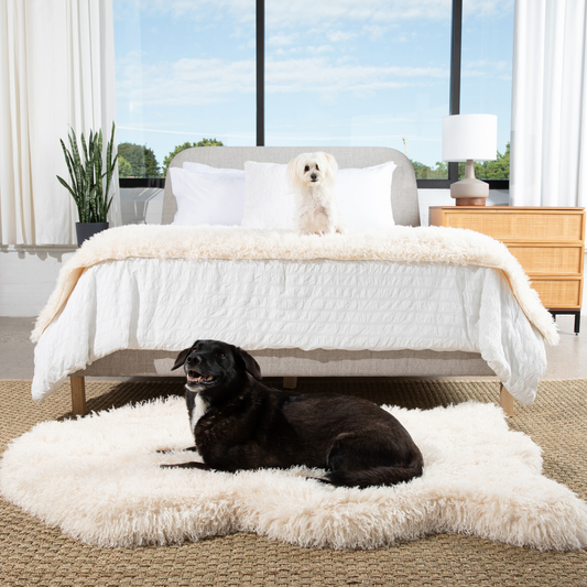 Orthopedic dog bed with matching runner - plush sheep ivory