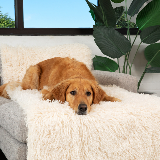 Waterproof Bed Runner for Dogs - Plush Sheep Ivory