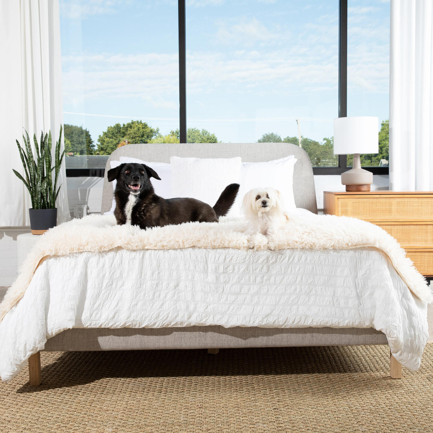 Waterproof Bed Runner for Dogs - Plush Sheep Ivory