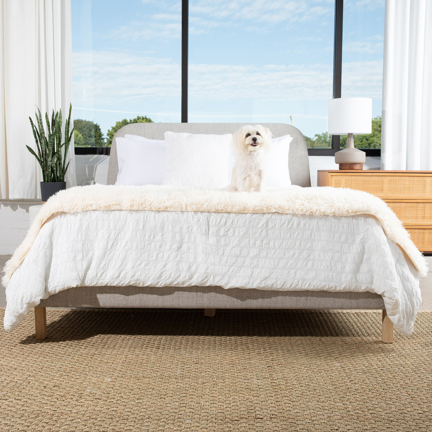Waterproof Bed Runner for Dogs - Plush Sheep Ivory