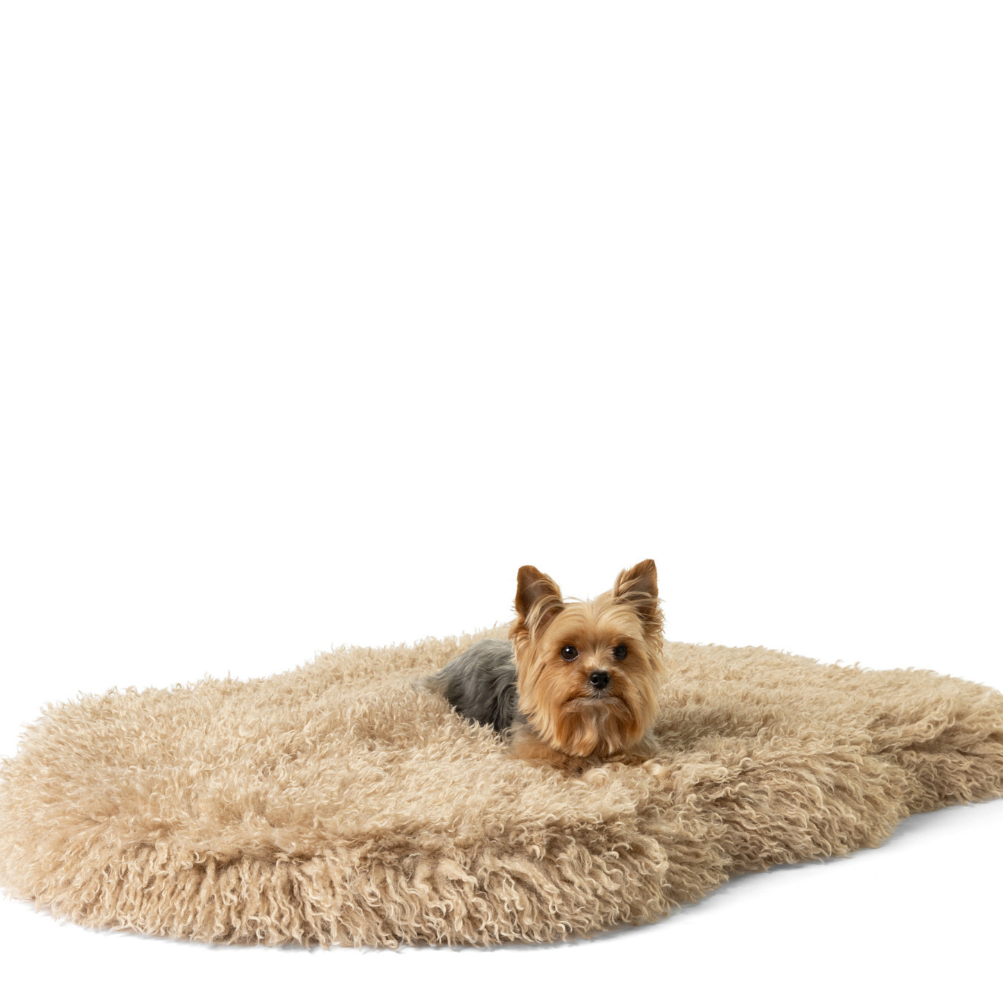 Orthopedic Faux Fur Dog Bed Cover - Plush Sheep Tan (Bed not included)