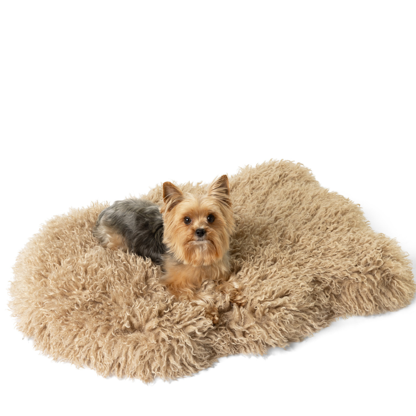Orthopedic Pet Bed with Matching Runner - Plush Sheep Tan