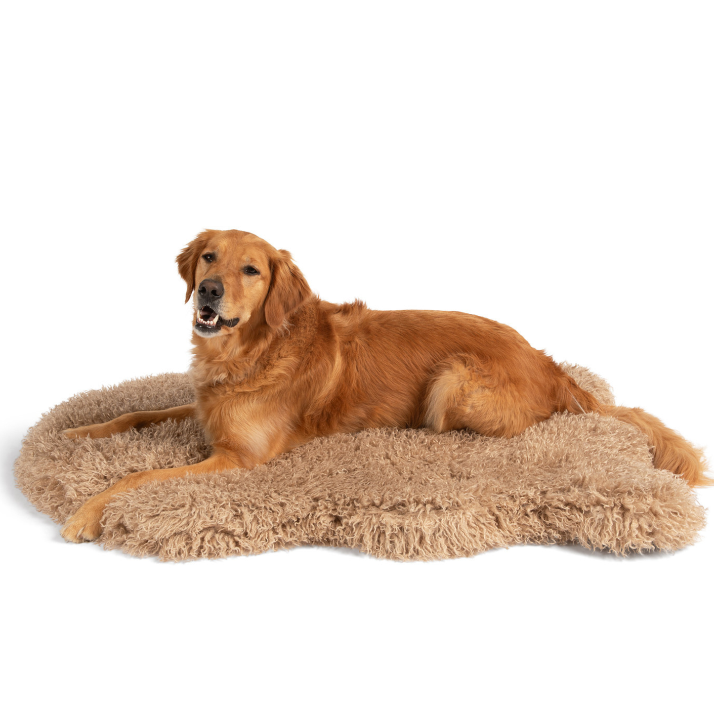 Orthopedic Pet Bed with Matching Runner - Plush Sheep Tan