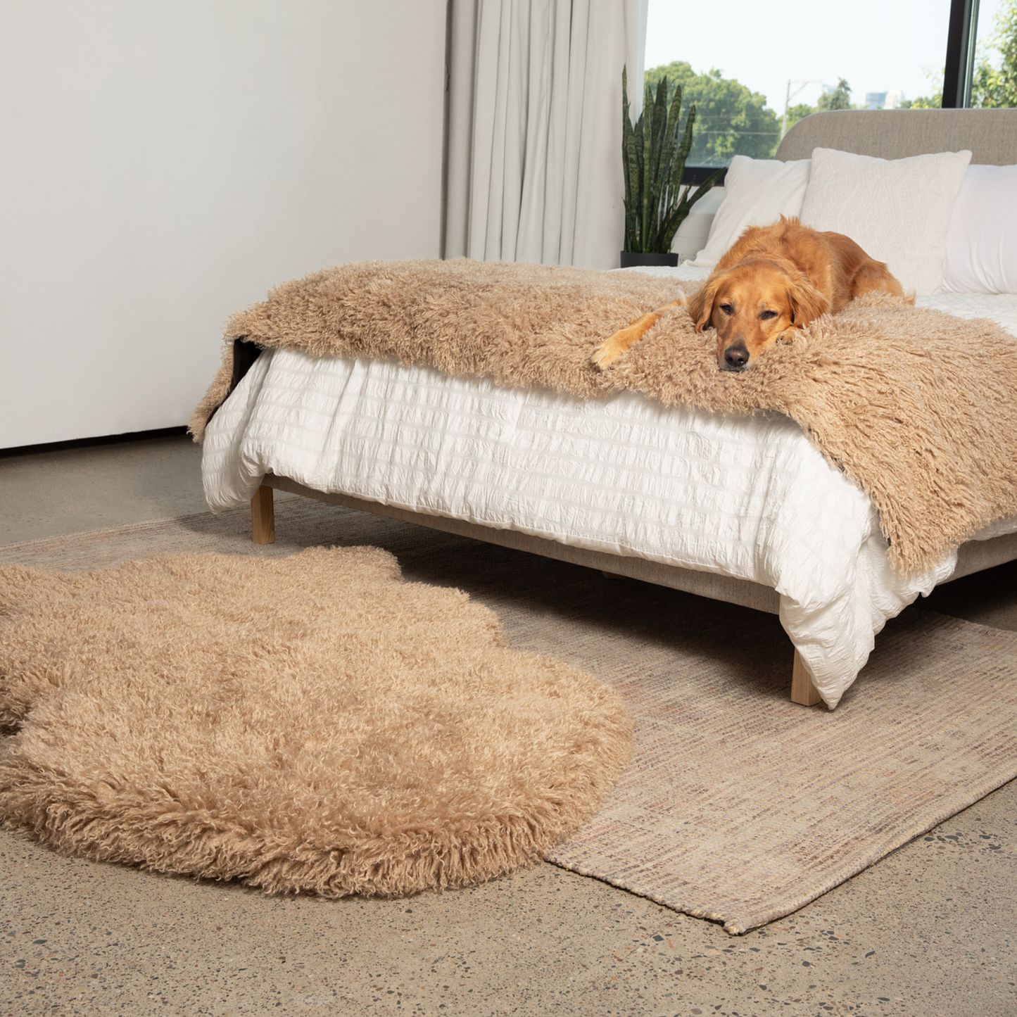 Orthopedic Pet Bed with Matching Runner - Plush Sheep Tan