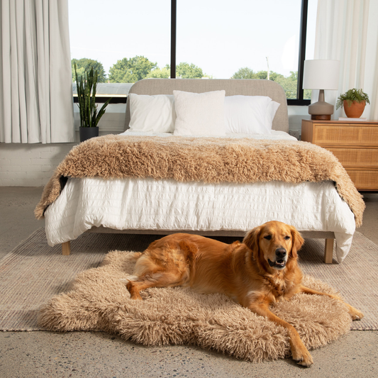 Orthopedic Pet Bed with Matching Runner - Plush Sheep Tan