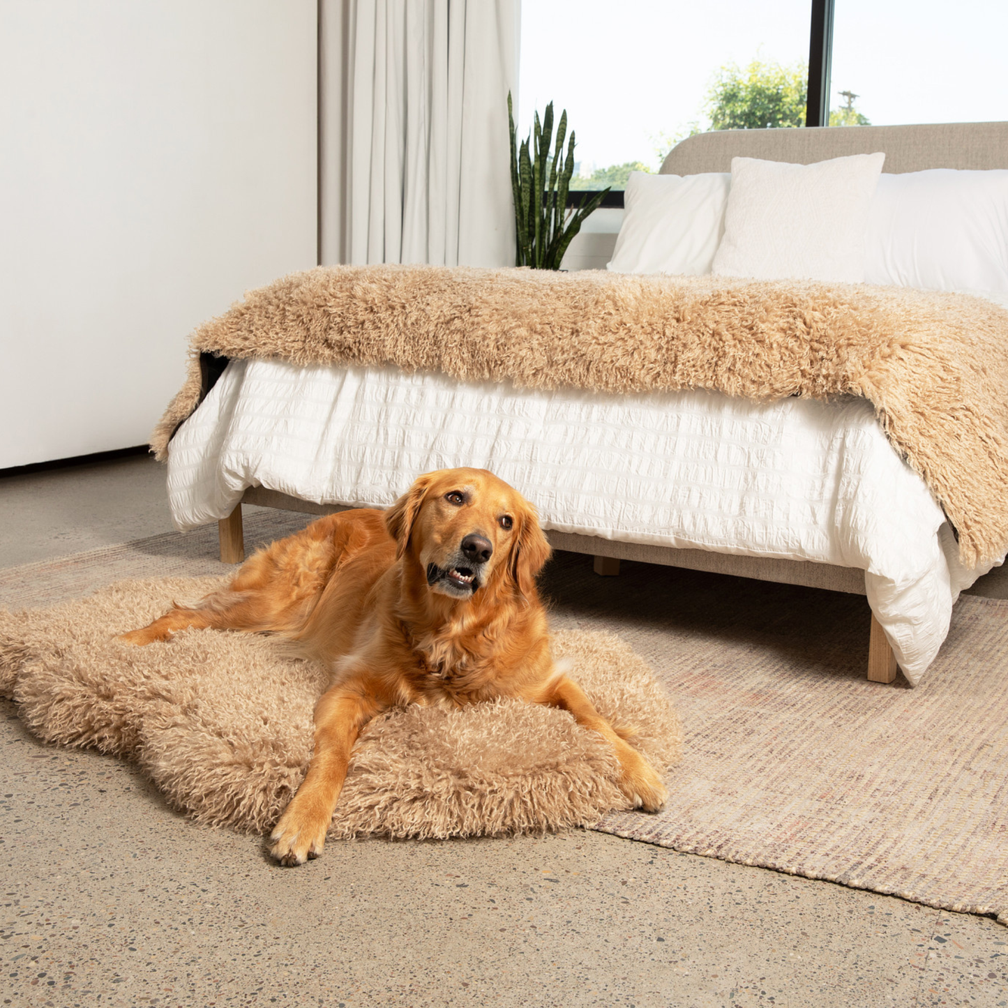 Orthopedic Pet Bed with Matching Runner - Plush Sheep Tan