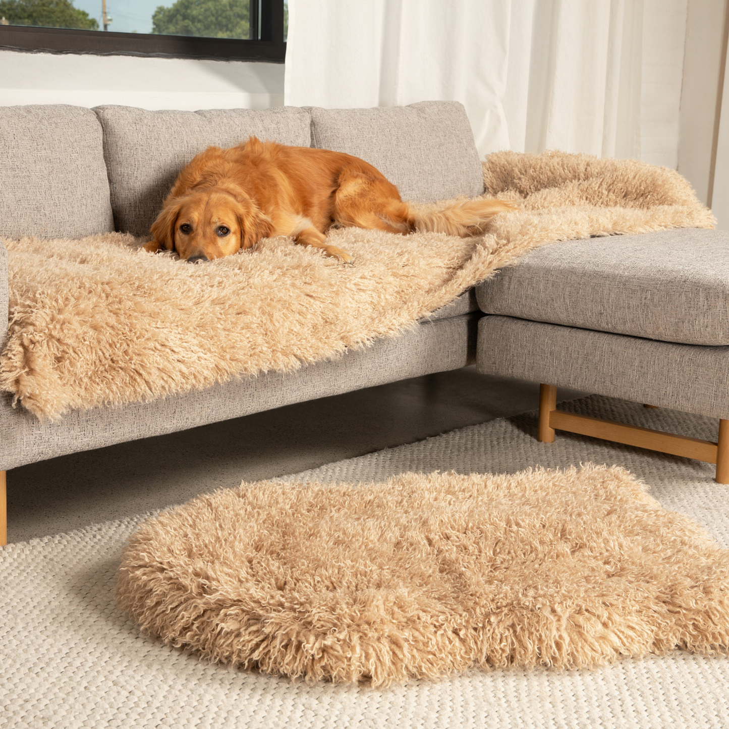 Orthopedic Pet Bed with Matching Runner - Plush Sheep Tan