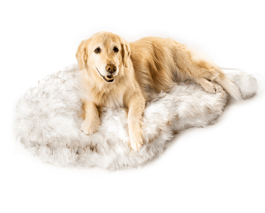 Orthopedic Dog Bed Cover Faux Fur - Curve White (Bed Not Included)