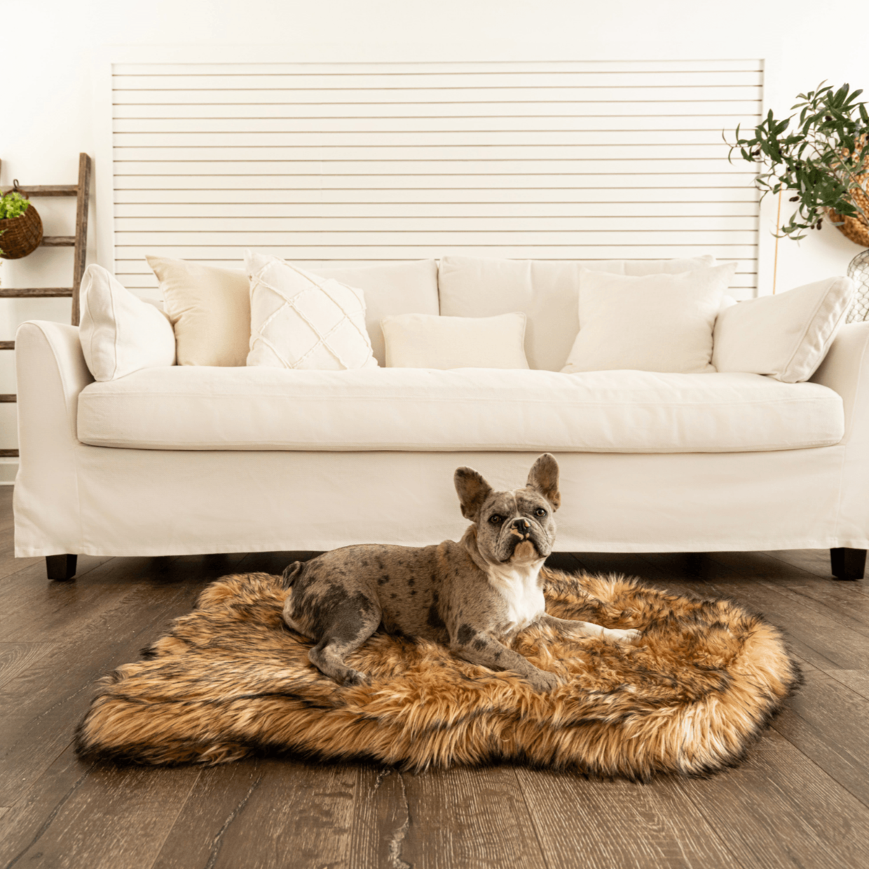 Orthopedic Faux Fur Dog Bed - Sable Tan