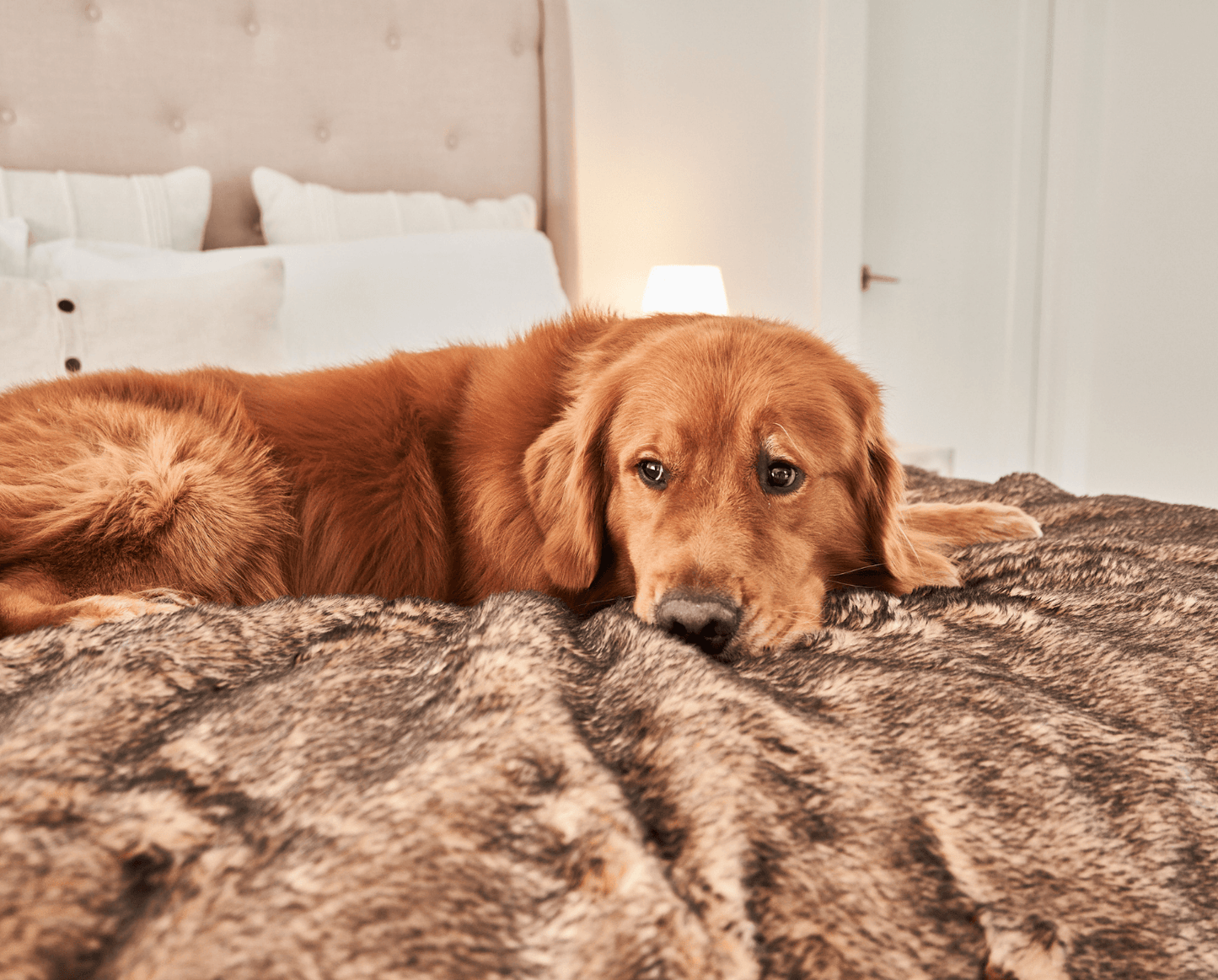 Waterproof Summer Blanket for Dogs - Sable Tan